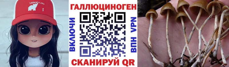 Галлюциногенные грибы мухоморы  Купить закладки  Трубчевск 
